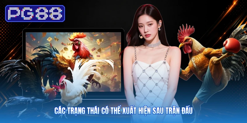 Các Trạng Thái Có Thể Xuất Hiện Sau Trận Đấu