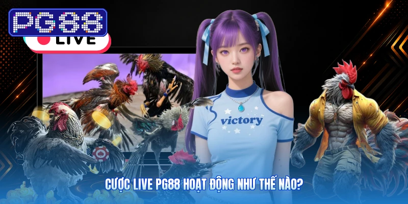 Cược Live PG88 Hoạt Động Như Thế Nào?