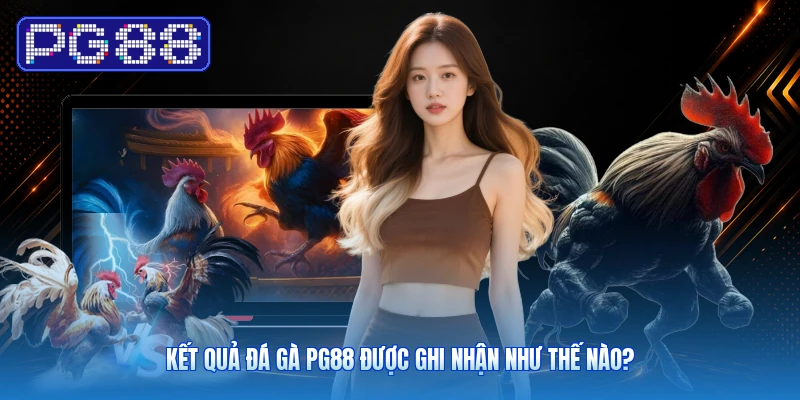 Kết Quả Đá Gà PG88 Được Ghi Nhận Như Thế Nào?