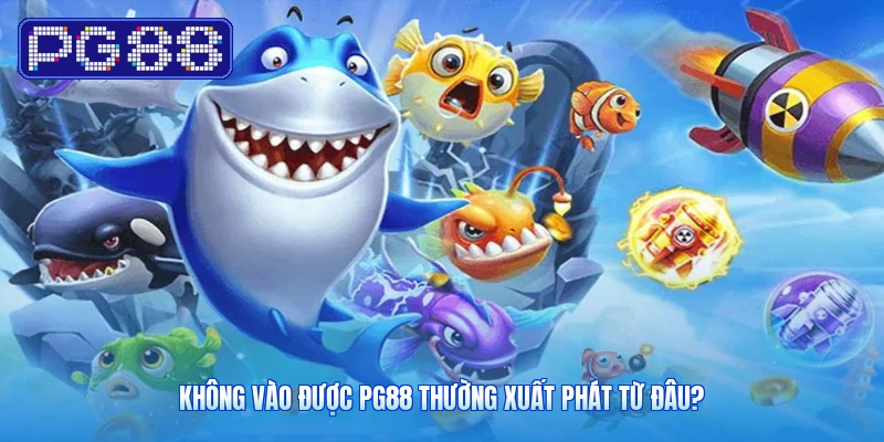 Không vào được PG88 thường xuất phát từ đâu?