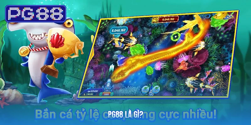 PG88 Là Gì?