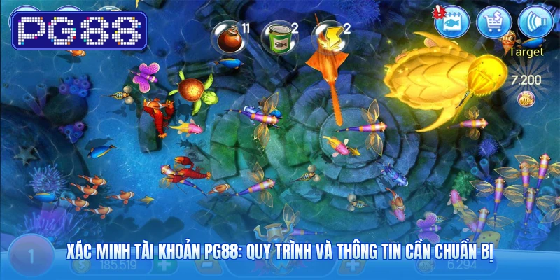 Xác Minh Tài Khoản PG88: Quy Trình Và Thông Tin Cần Chuẩn Bị